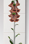 foxglove_ivory_burgundy